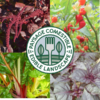 Sélection « Paysage comestible »