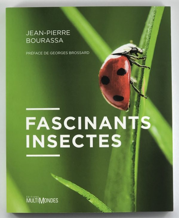 Fascinants insectes