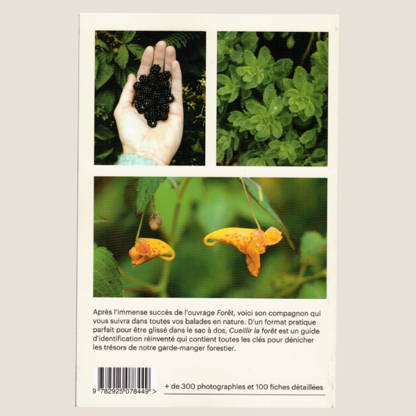 Cueillir la forêt, Guide d'identification des plantes sauvages – Image 2