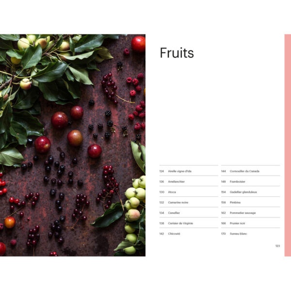 Cueillir la forêt, Guide d'identification des plantes sauvages – Image 4