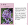 Cueillir la forêt, Guide d'identification des plantes sauvages – Image 5