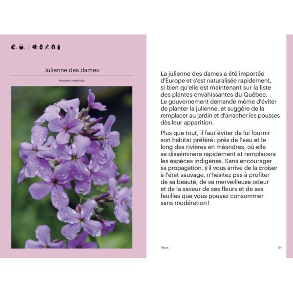 Cueillir la forêt, Guide d'identification des plantes sauvages – Image 5