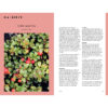 Cueillir la forêt, Guide d'identification des plantes sauvages – Image 7
