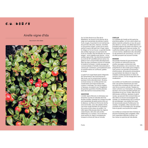 Cueillir la forêt, Guide d'identification des plantes sauvages – Image 7