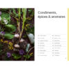 Cueillir la forêt, Guide d'identification des plantes sauvages – Image 8
