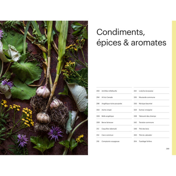 Cueillir la forêt, Guide d'identification des plantes sauvages – Image 8