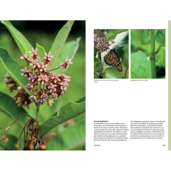 Cueillir la forêt, Guide d'identification des plantes sauvages – Image 9