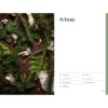 Cueillir la forêt, Guide d'identification des plantes sauvages – Image 6