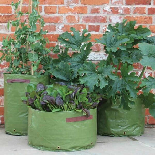 Sacs de plantation pour légumes de Haxnicks